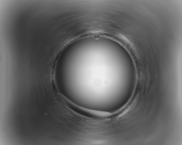 X0000089881361200707051202