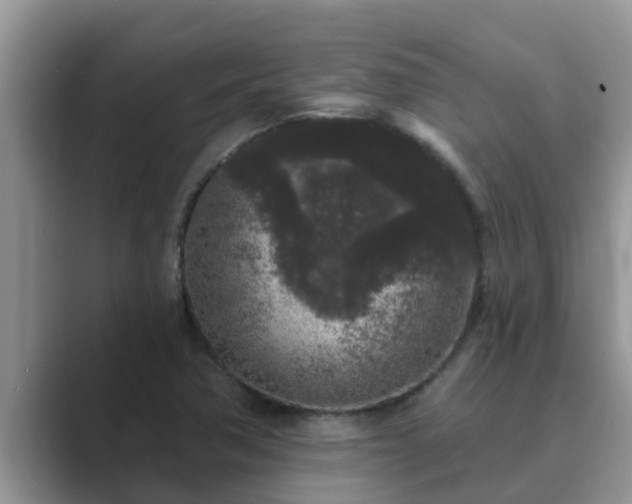 X0000089881362200707051202