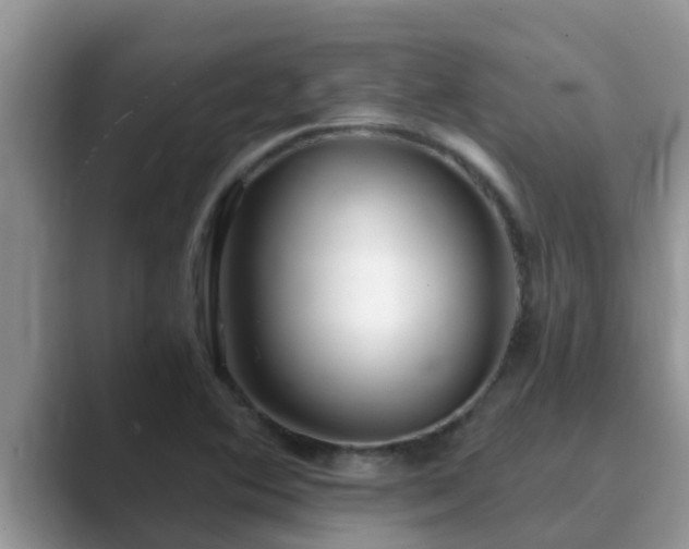 X0000089881364200707051202