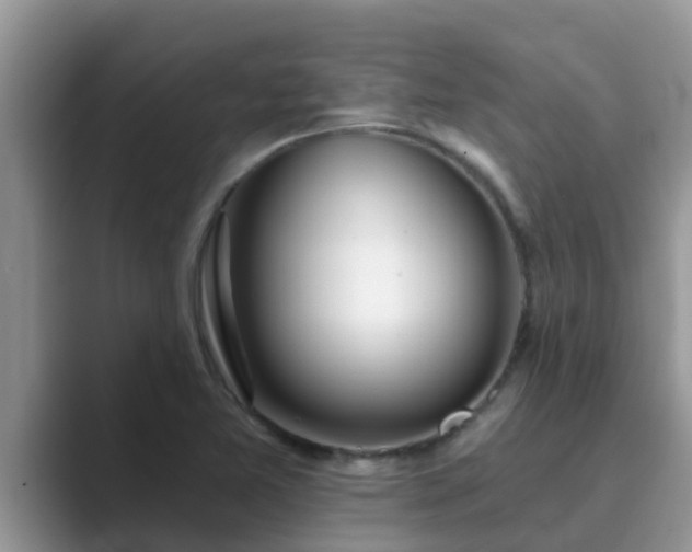 X0000089881365200707051202