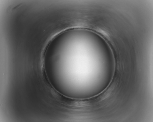 X0000089881366200707051202