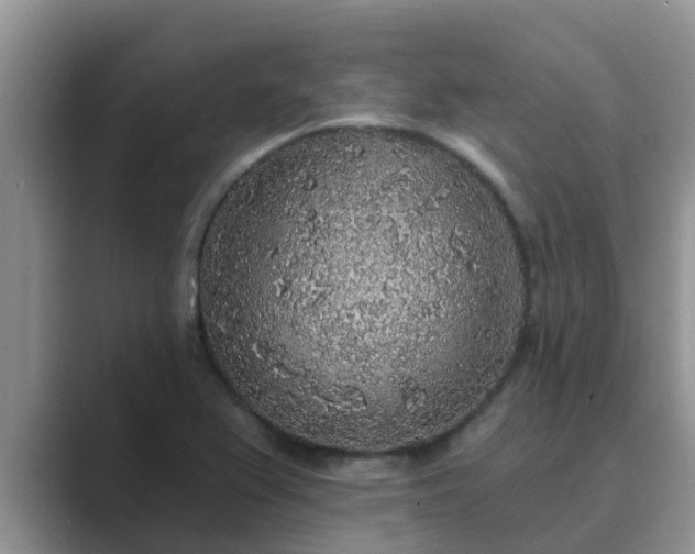 X0000089881367200707051202