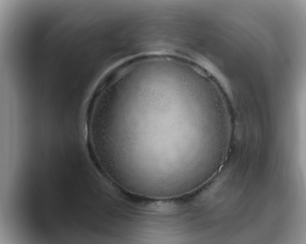 X0000089881368200707051202