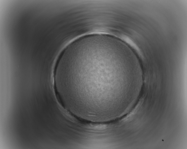 X0000089881372200707051202