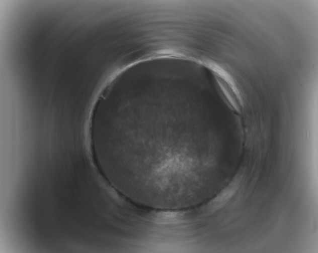 X0000089881373200707051202