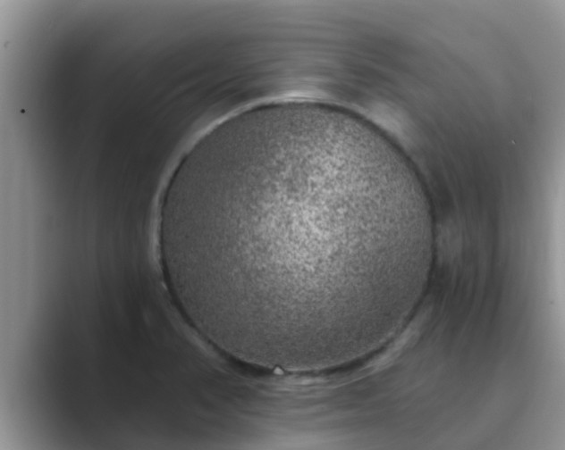 X0000089881374200707051202