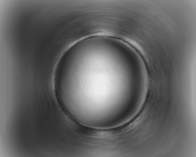 X0000089881375200707051202