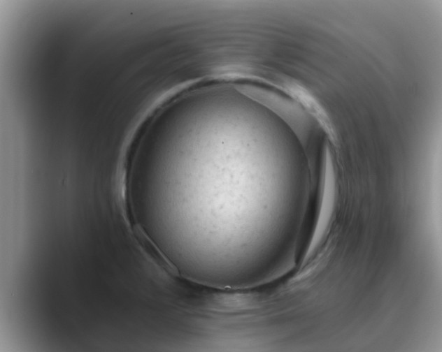 X0000089881376200707051202