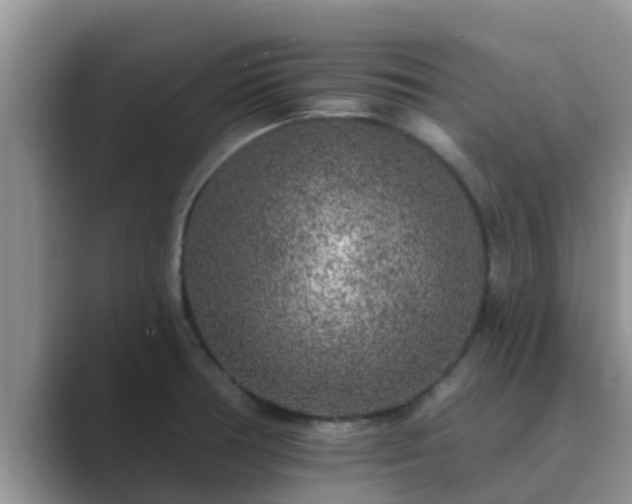 X0000089881378200707051202