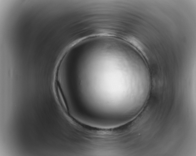 X0000089881379200707051202