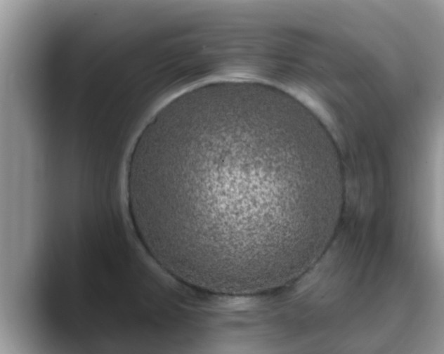 X0000089881382200707051202