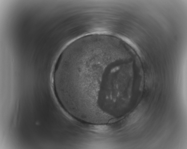 X0000089881383200707051202