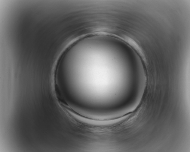 X0000089881384200707051202