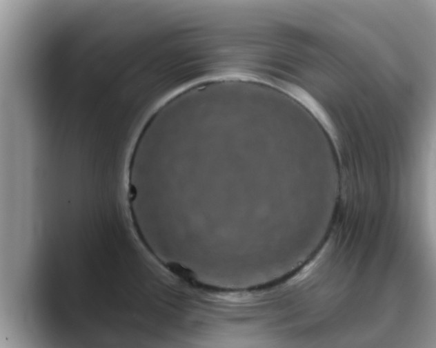 X0000089881388200707051202