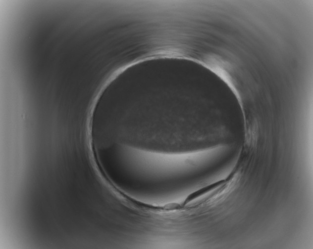 X0000089881389200707051202