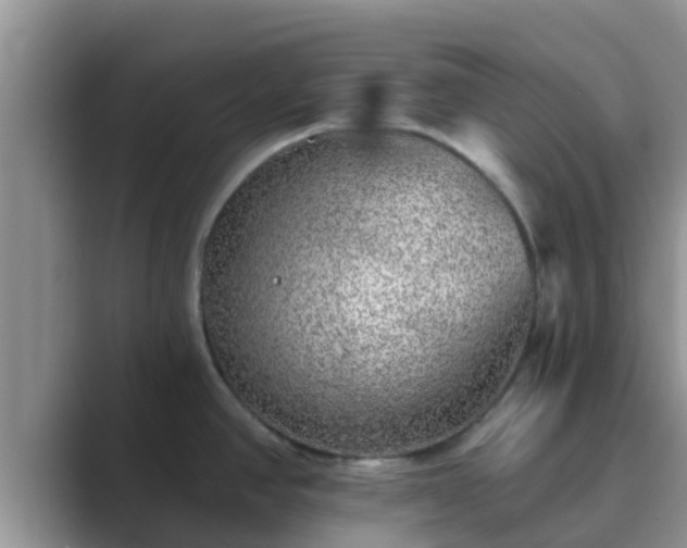 X0000089881390200707051202