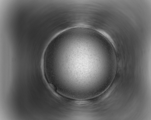 X0000089881391200707051202