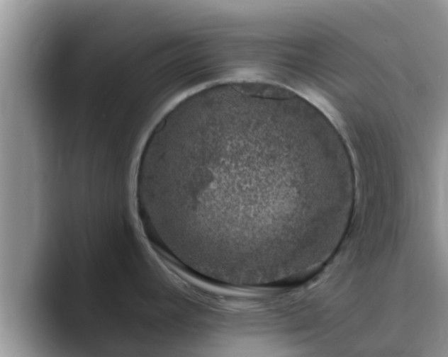 X0000089881392200707051202