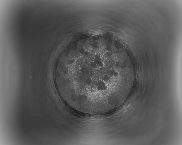 X0000089881393200707051201