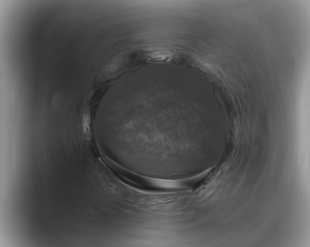 X0000089881394200707051201