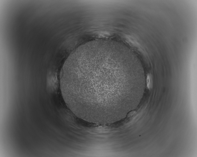 X0000089881395200707051201