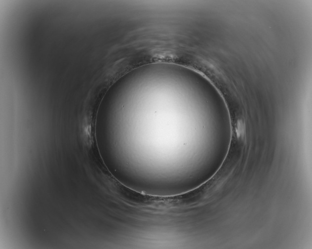 X0000089881396200707051201