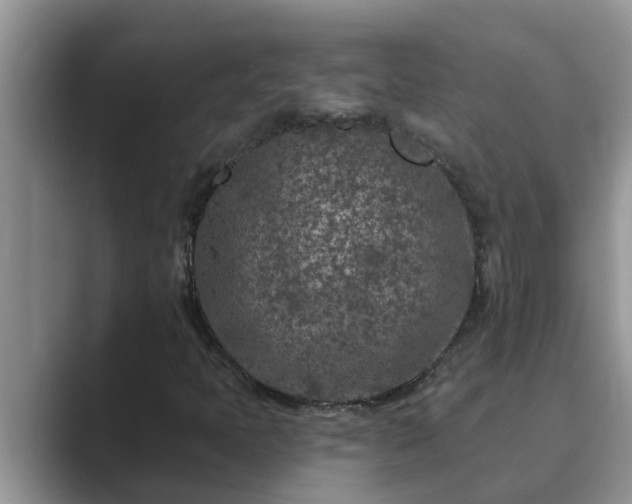 X0000089881397200707051201