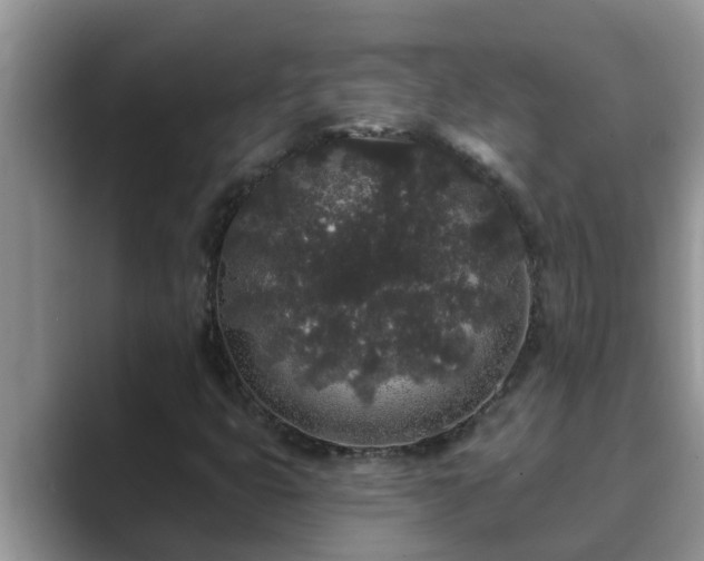 X0000089881399200707051201