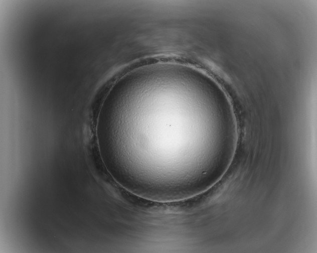 X0000089881400200707051201