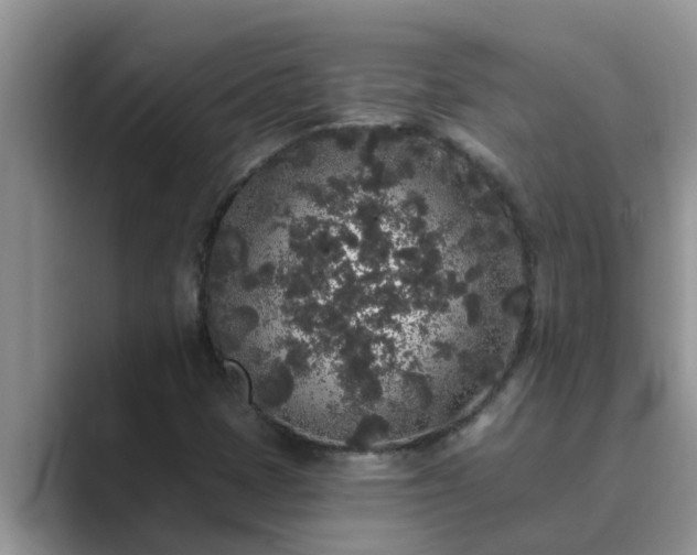 X0000089881401200707051201