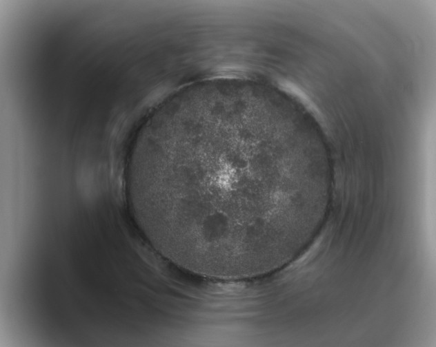 X0000089881403200707051201