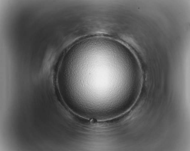 X0000089881404200707051201