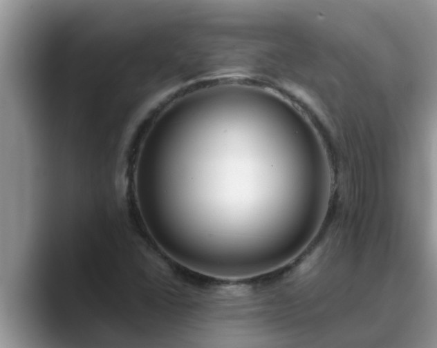 X0000089881406200707051201