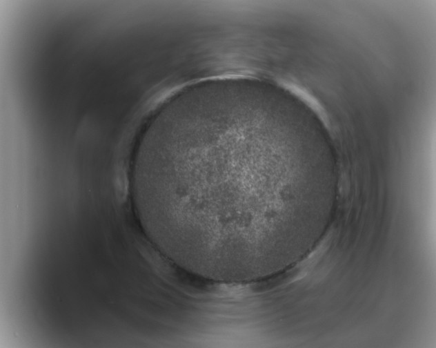 X0000089881407200707051201