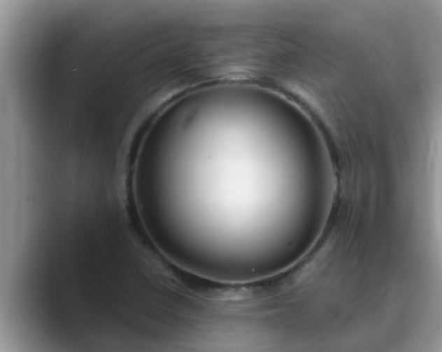 X0000089881410200707051201