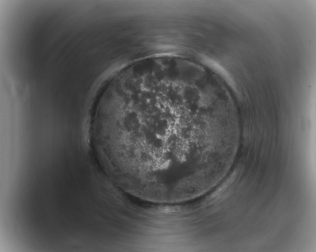 X0000089881411200707051201