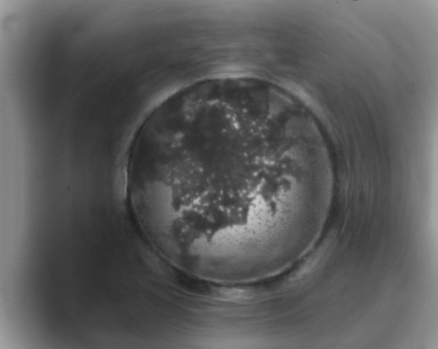 X0000089881413200707051201