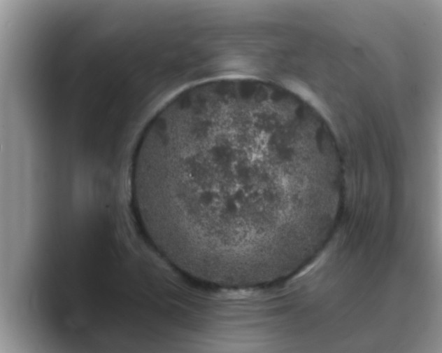 X0000089881415200707051201