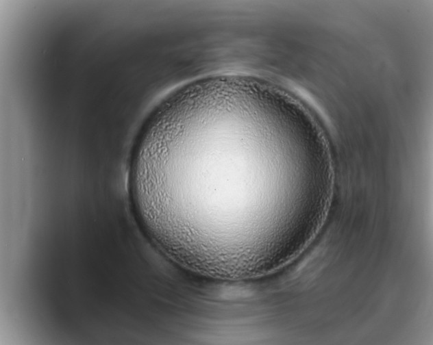 X0000089881416200707051201