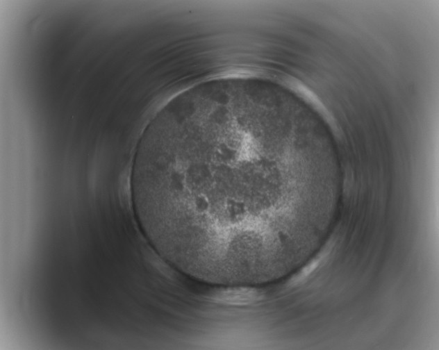 X0000089881417200707051202