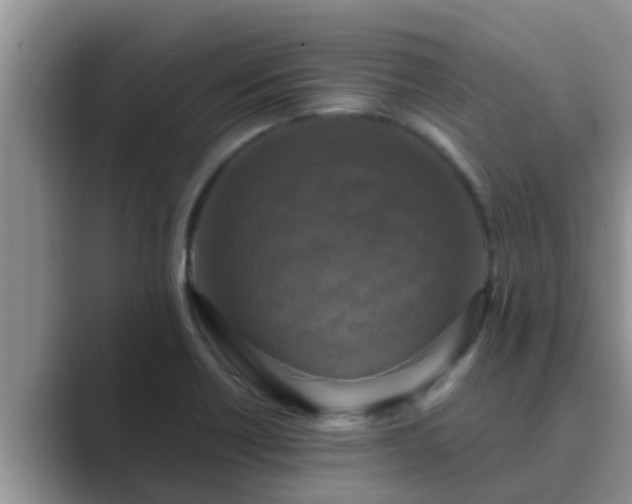 X0000089881418200707051202