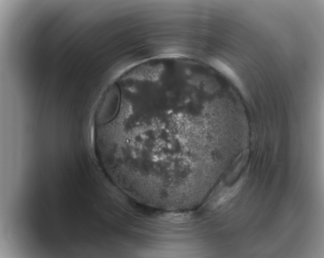 X0000089881419200707051202