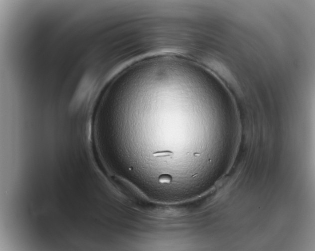 X0000089881420200707051202