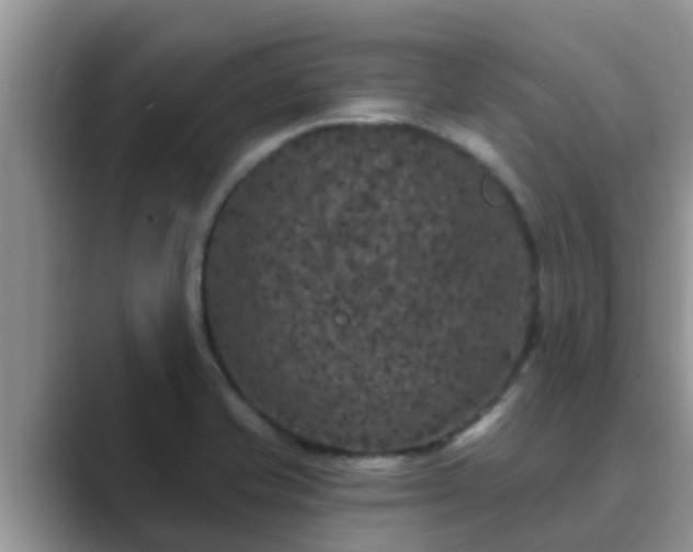 X0000089881421200707051202