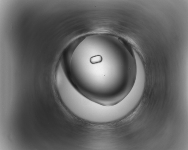 X0000089881422200707051202