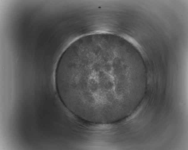 X0000089881423200707051202