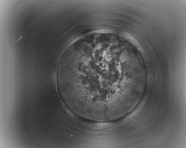 X0000089881425200707051202