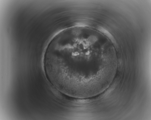 X0000089881427200707051202