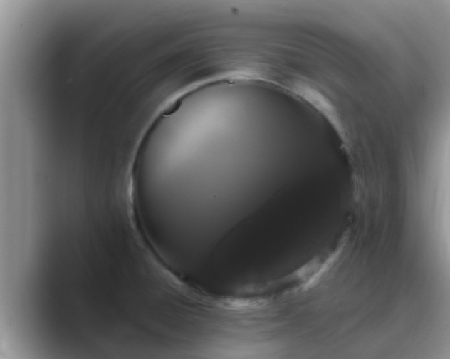 X0000089881428200707051202