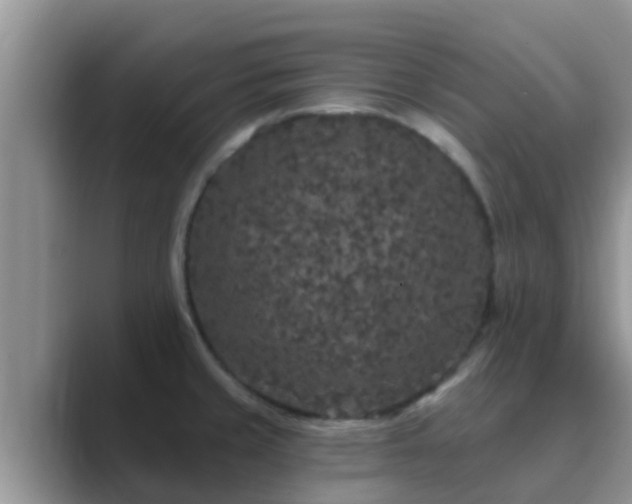 X0000089881429200707051202